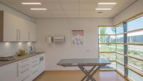 Diensten - Dierenkliniek de Waalsprong