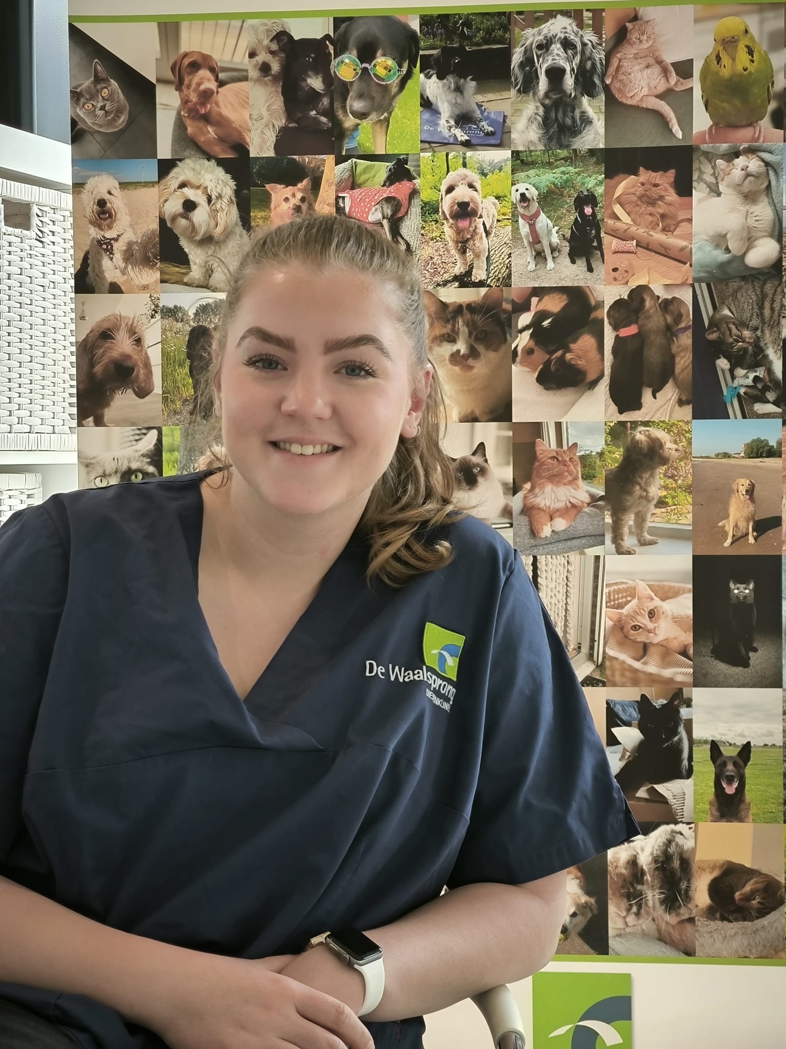 paraveterinair Ashley